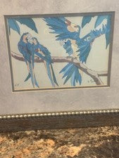 Dan Goad signed artist proof Parrot water color