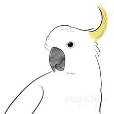 Sulphur Crested Cockatoo Parrot CAR Sticker Outdoor use / UV & Water Proof