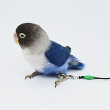 Parrot Bird Leg Leash Outdoor Flying Harness Training Rope Anti Bite Portable
