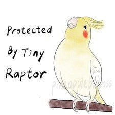 Lutino Cockatiel CAR Sticker Outdoor use / UV & Water Proof Parrot Sticker